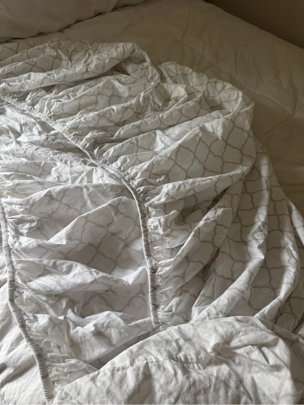 Twin XL Fitted Sheet 100% Cotton Grey Trellis Print White Quatrefoil Bedding TXL